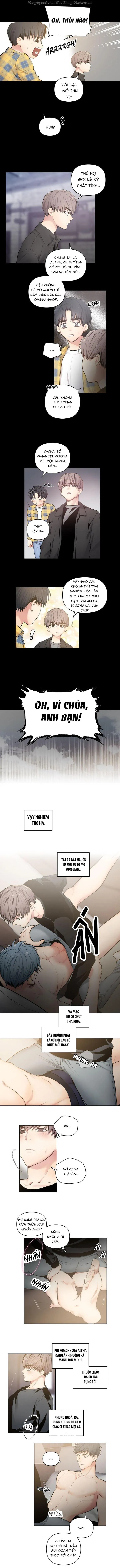 VIÊN THUỐC GIÚP TÔI TRỞ THÀNH OMEGA Chapter 1 Trang 3
