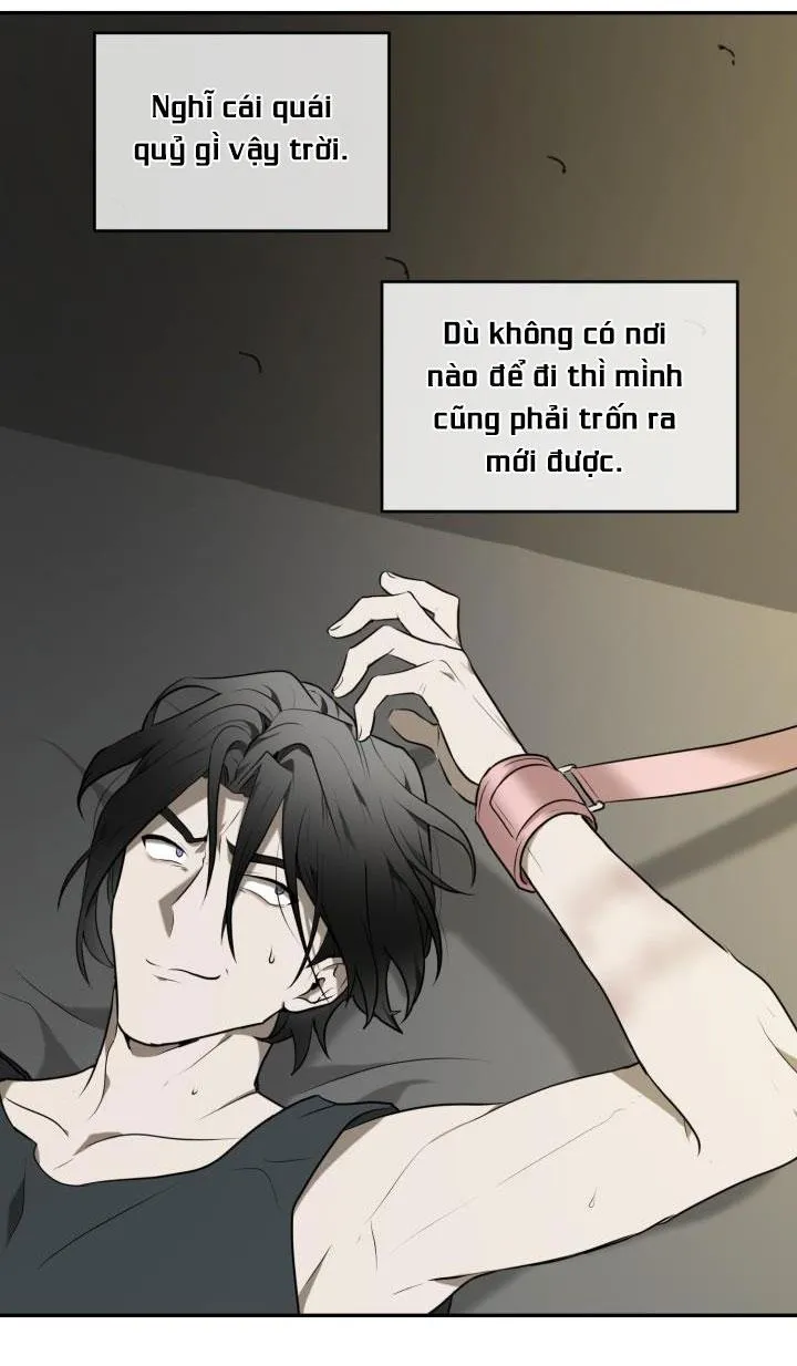 VIVARIUM Chapter 6 Trang 71