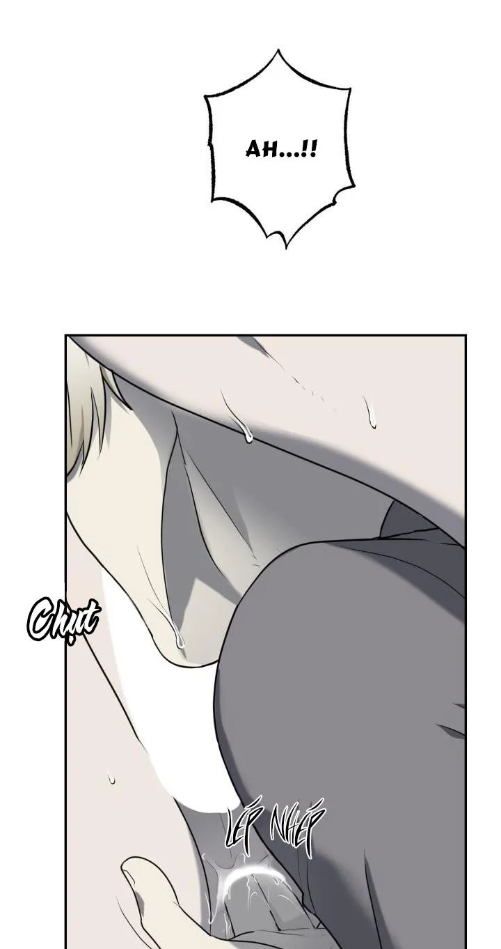 VIVARIUM Chapter 11 Trang 15