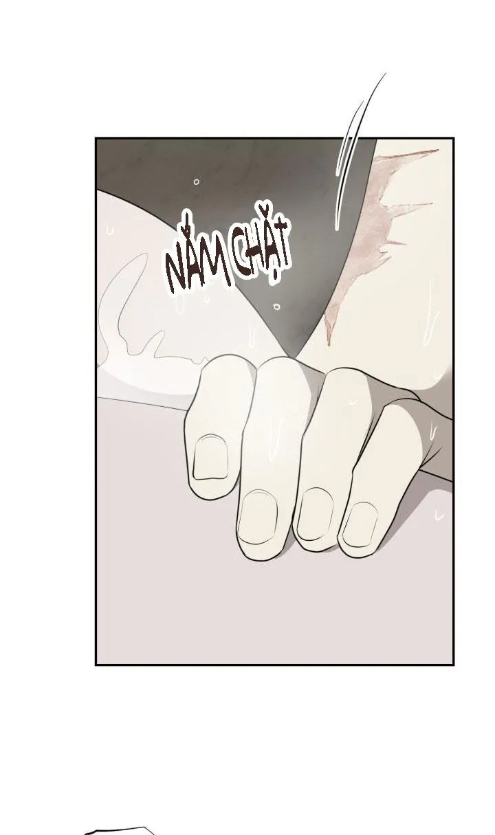 VIVARIUM Chapter 34 Trang 11