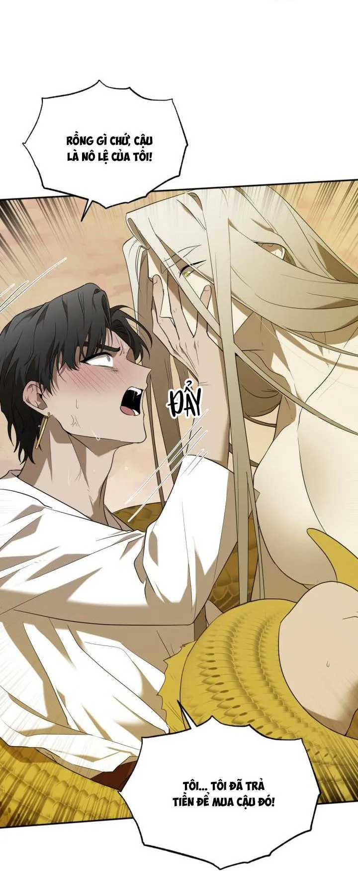 VIVARIUM Chapter 51 Trang 16