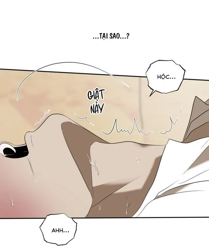 VIVARIUM Chapter 51 Trang 46