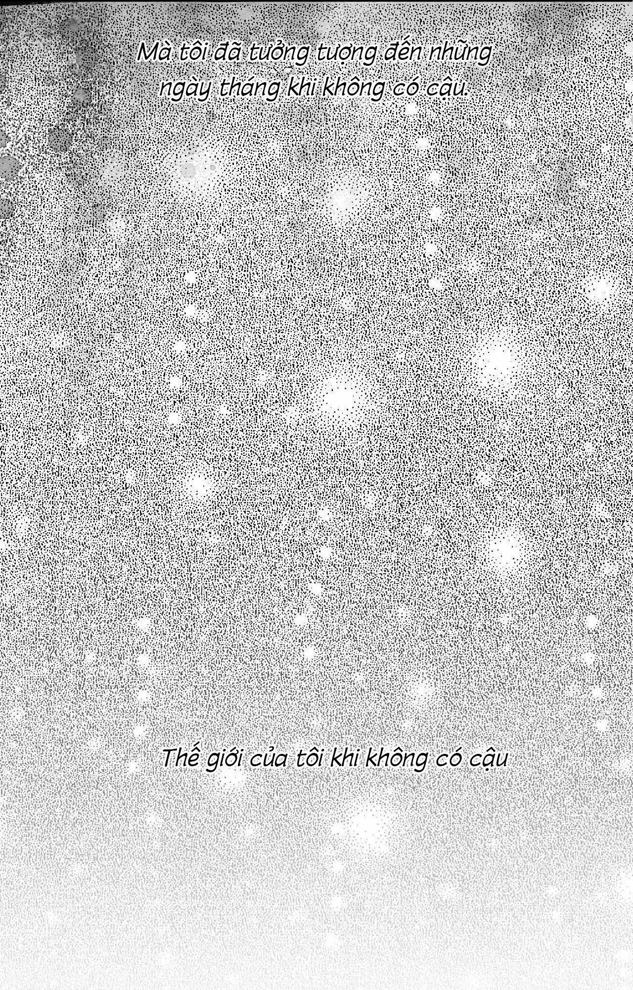 Vóc Dáng Toàn Mỹ Chapter 13 Trang 13