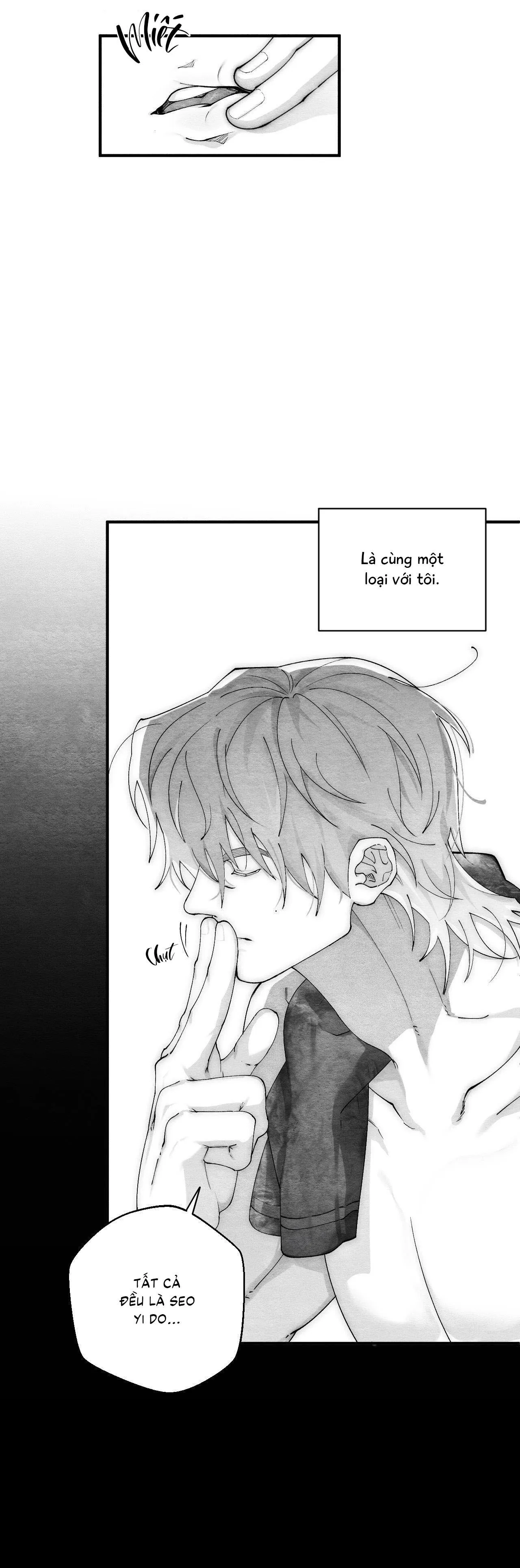 Vóc Dáng Toàn Mỹ Chapter 19 Trang 13