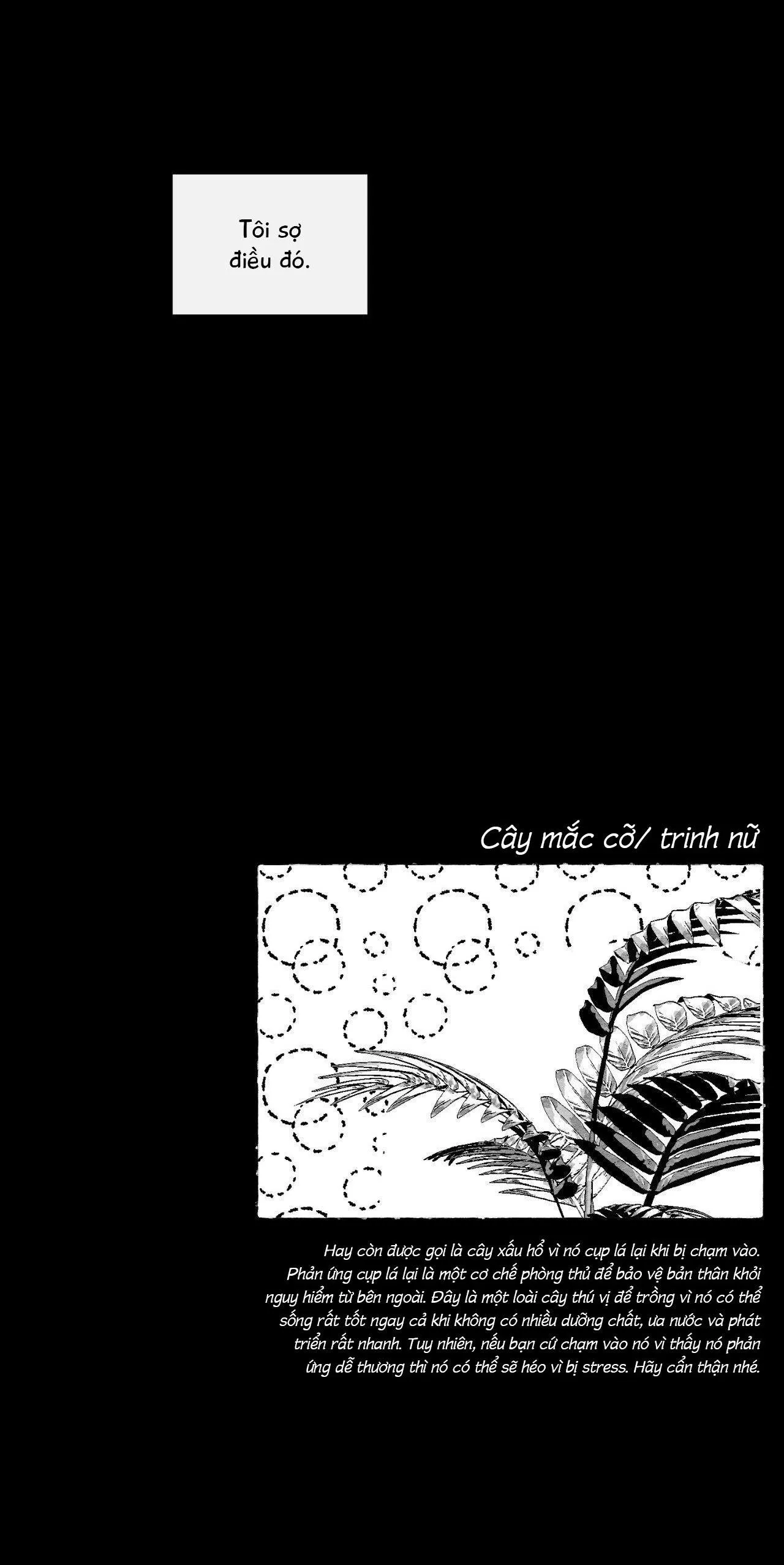 Vóc Dáng Toàn Mỹ Chapter 24 Trang 73