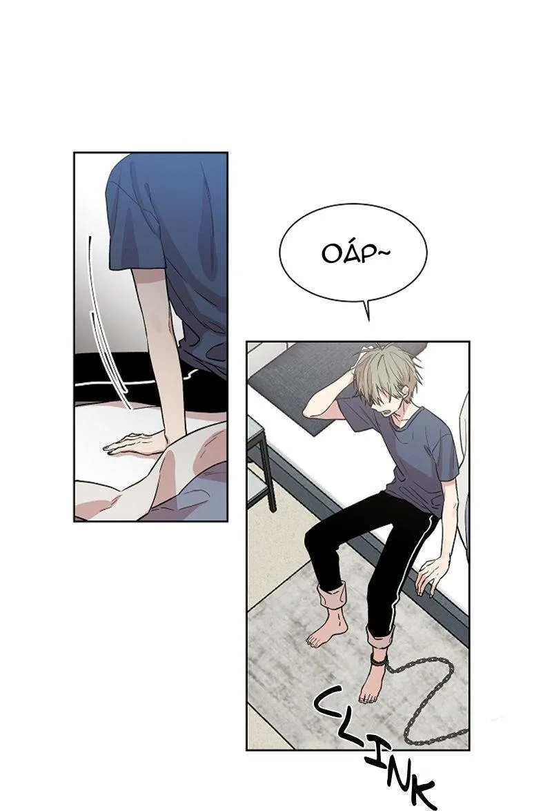 Vòng tròn cạm bẫy Chapter 3 Trang 3