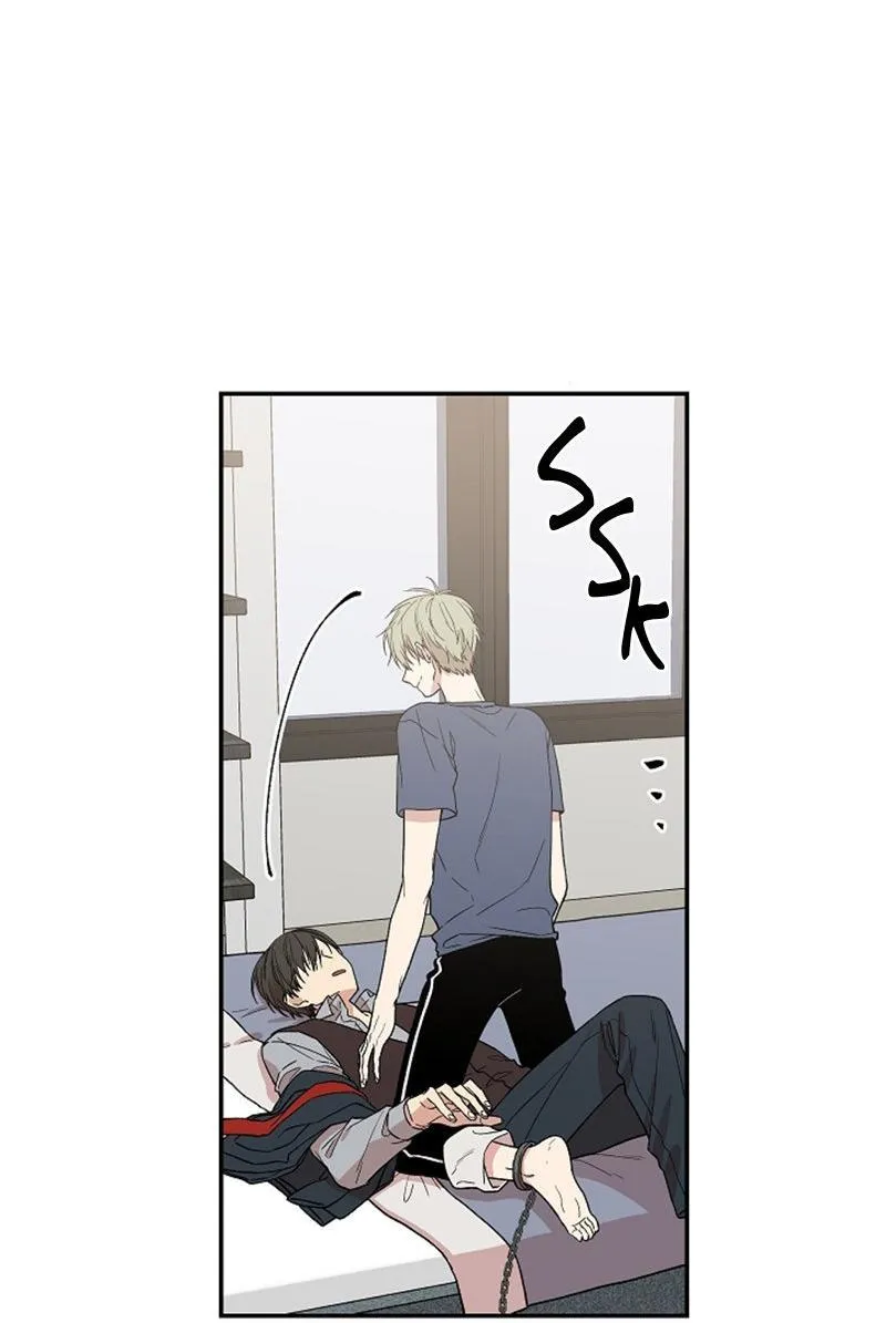 Vòng tròn cạm bẫy Chapter 4 Trang 5