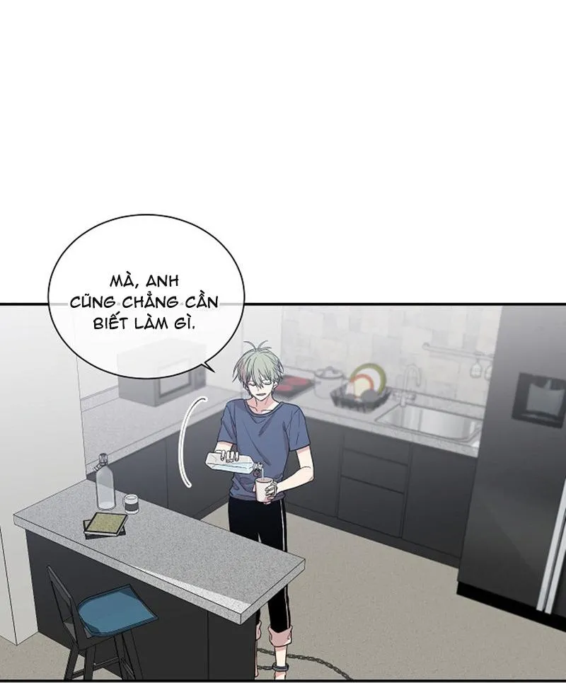 Vòng tròn cạm bẫy Chapter 4 Trang 16
