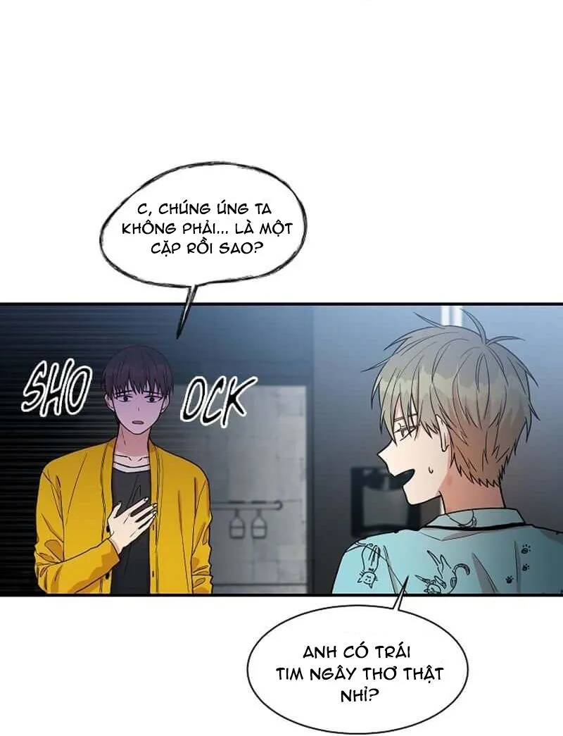 Vòng tròn cạm bẫy Chapter 14 Trang 8