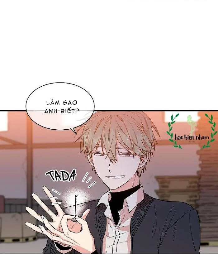 Vòng tròn cạm bẫy Chapter 17 Trang 5