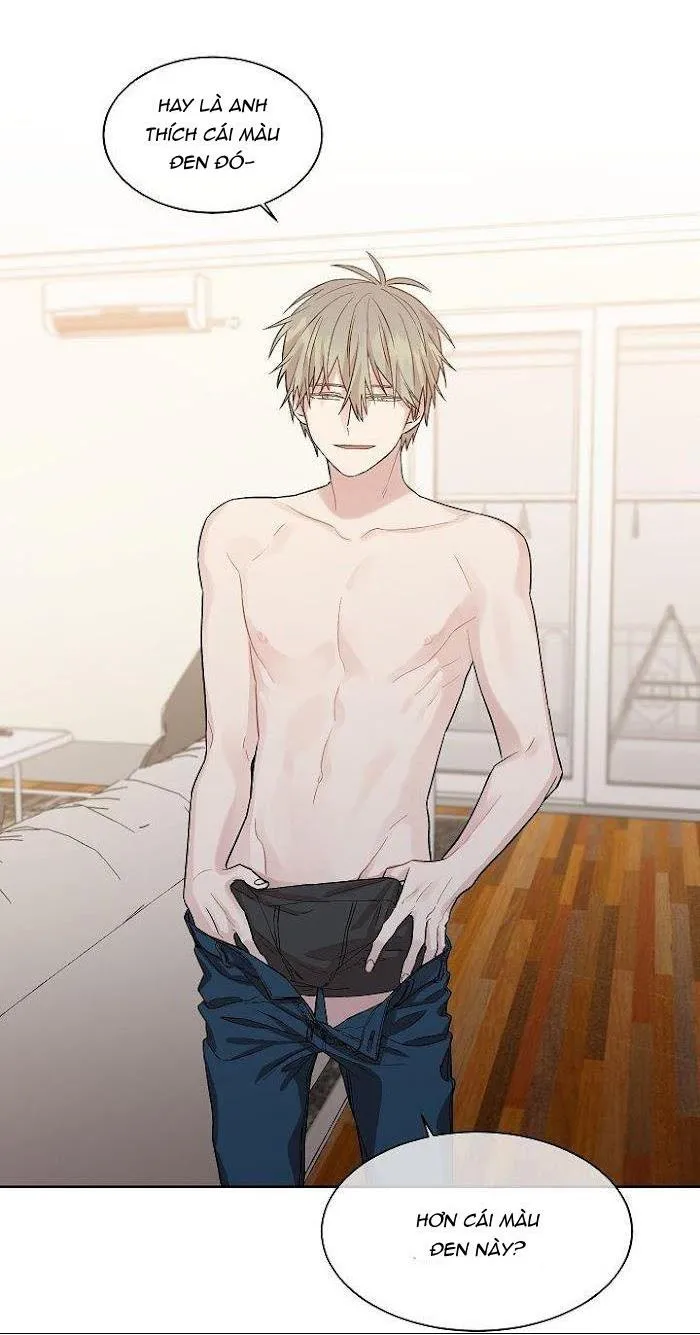 Vòng tròn cạm bẫy Chapter 23 Trang 51