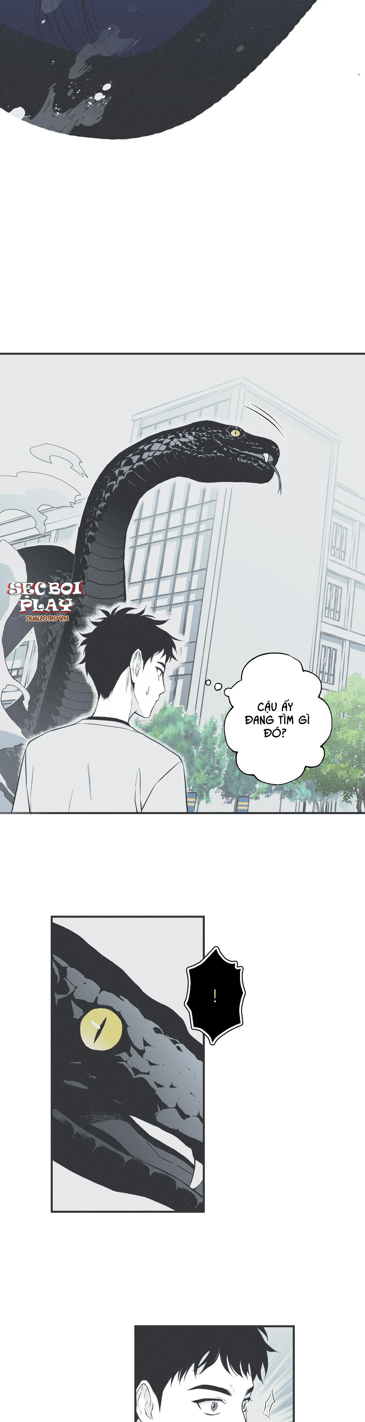 VÒNG XOÁY CỦA RẮN Chapter 6 Trang 31