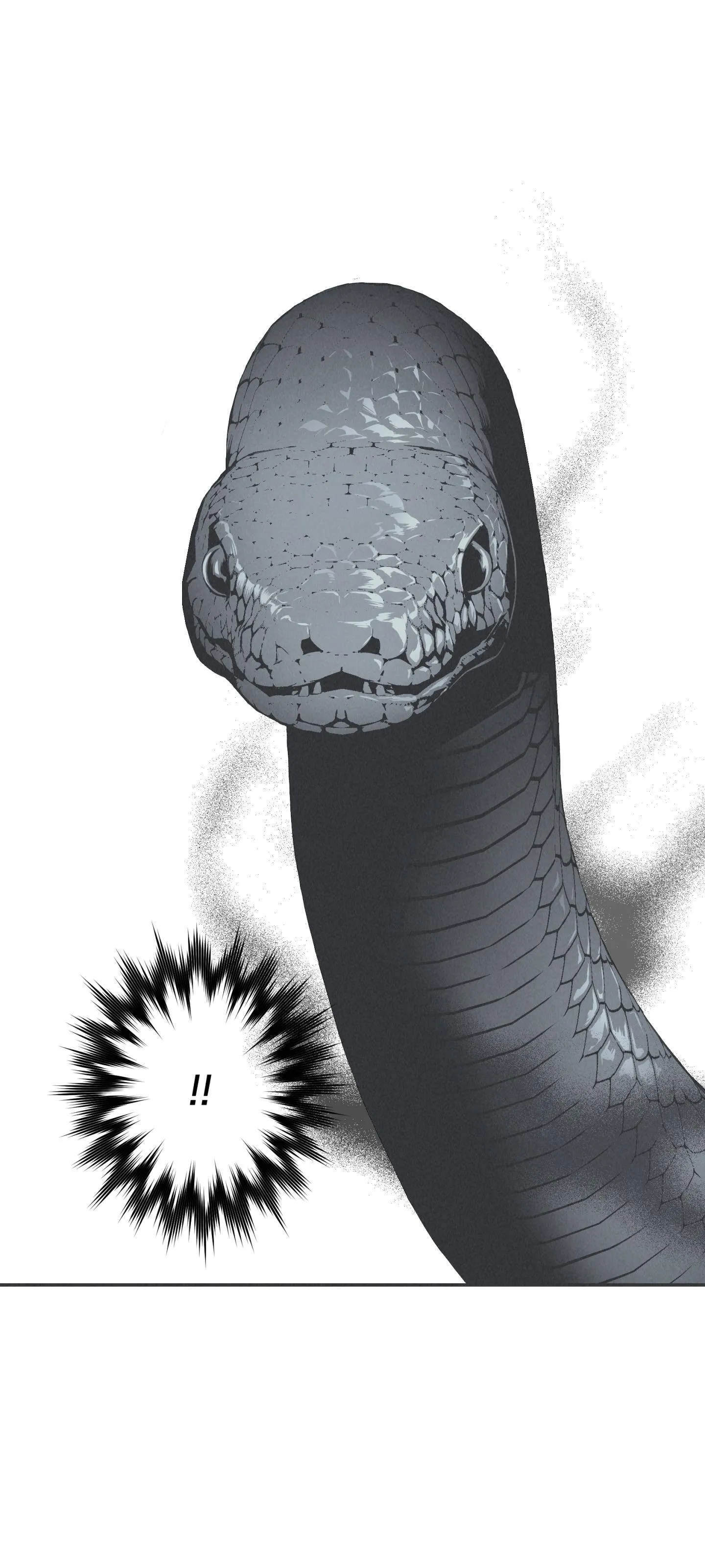 VÒNG XOÁY CỦA RẮN Chapter 0 Trang 10