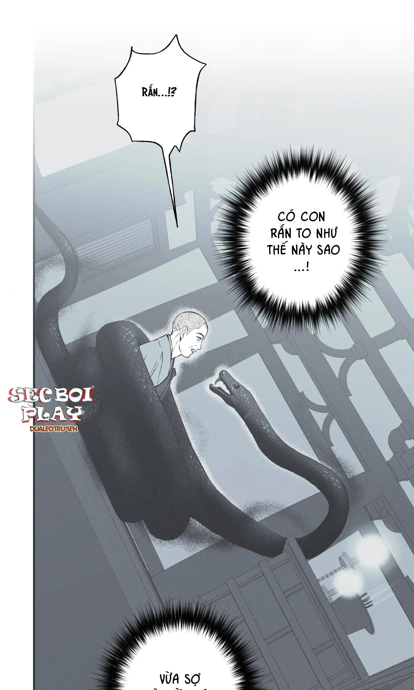 VÒNG XOÁY CỦA RẮN Chapter 0 Trang 11