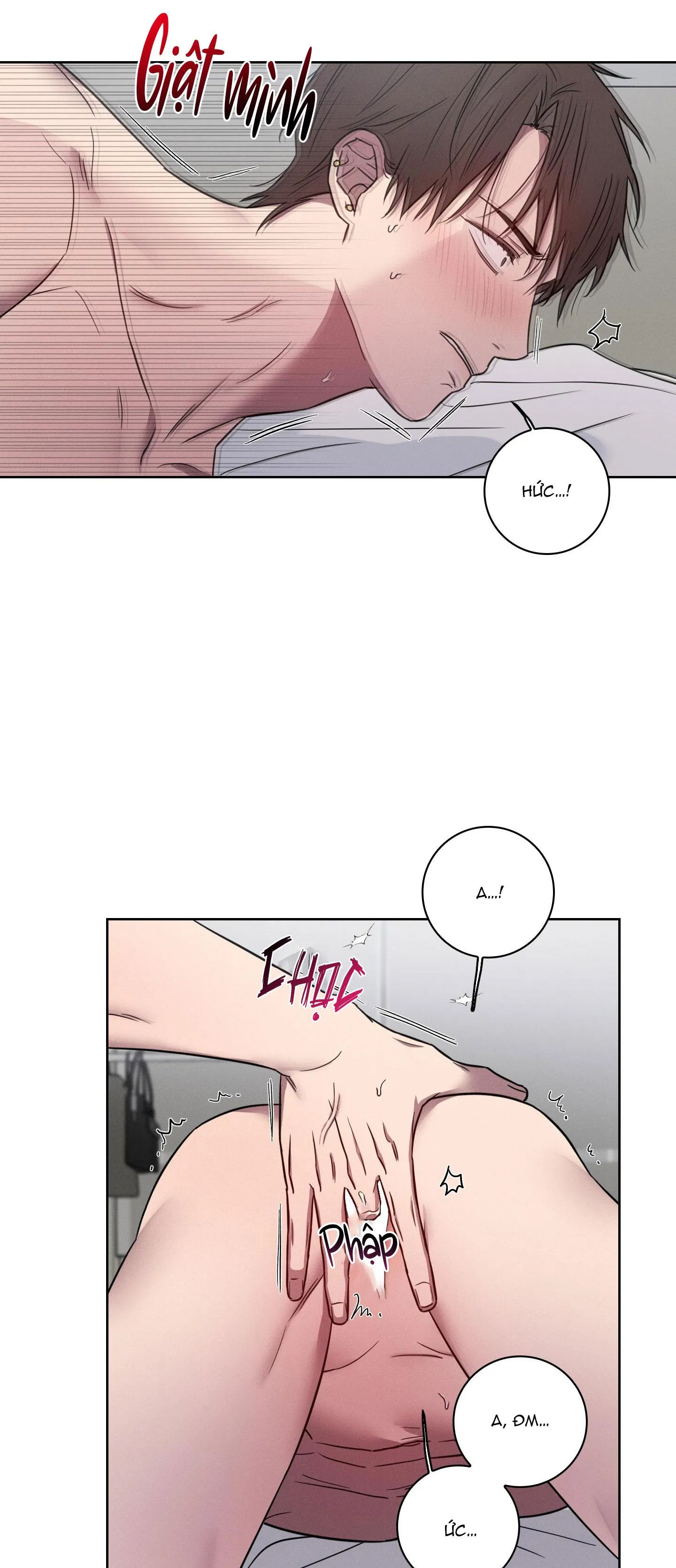 VỤ ÁN CON CU BIẾN MẤT Chapter 5 Trang 11