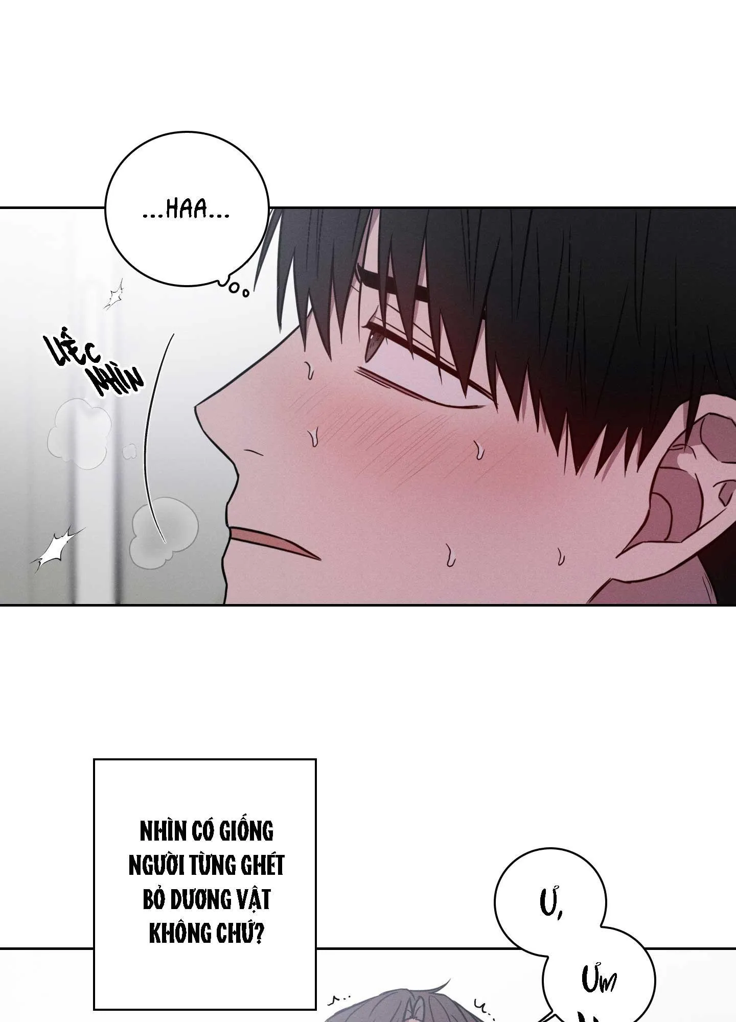 VỤ ÁN CON CU BIẾN MẤT Chapter 10 Trang 17