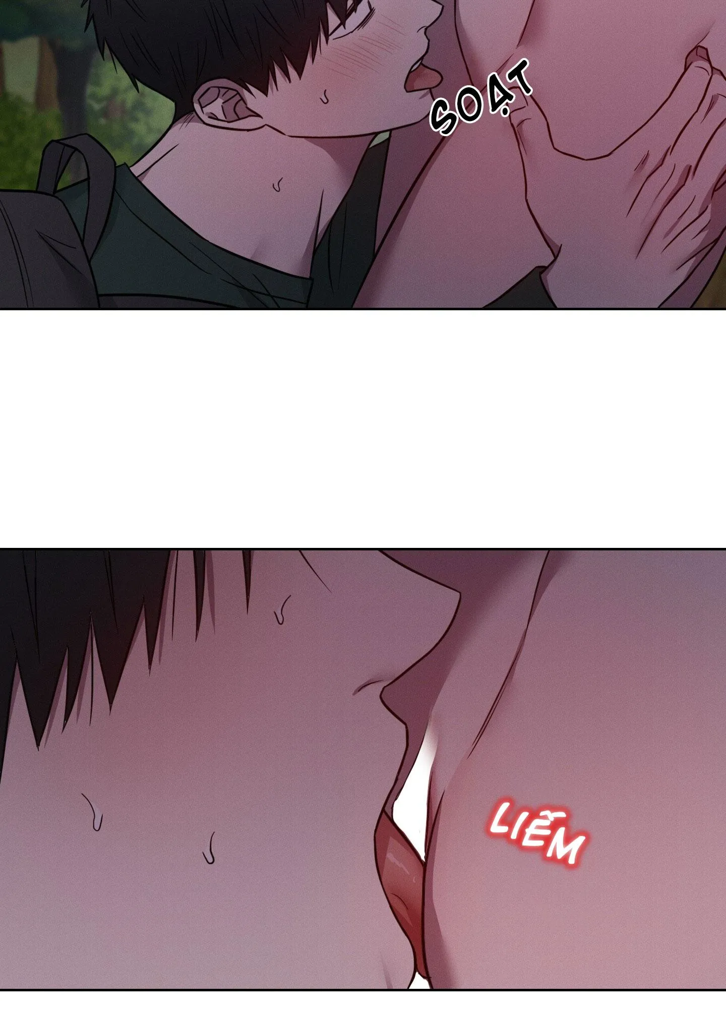 VỤ ÁN CON CU BIẾN MẤT Chapter 12 Trang 12