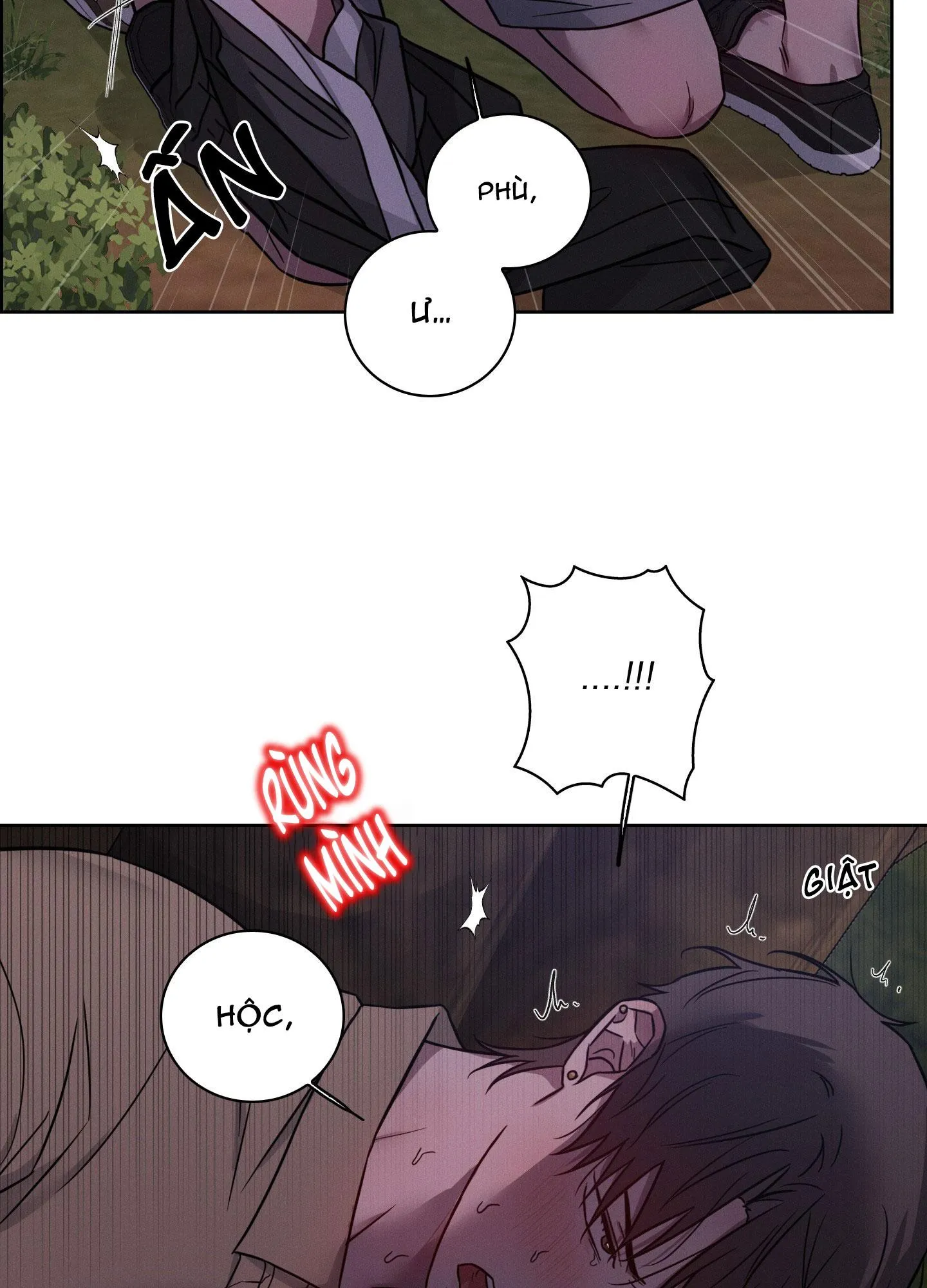 VỤ ÁN CON CU BIẾN MẤT Chapter 12 Trang 31