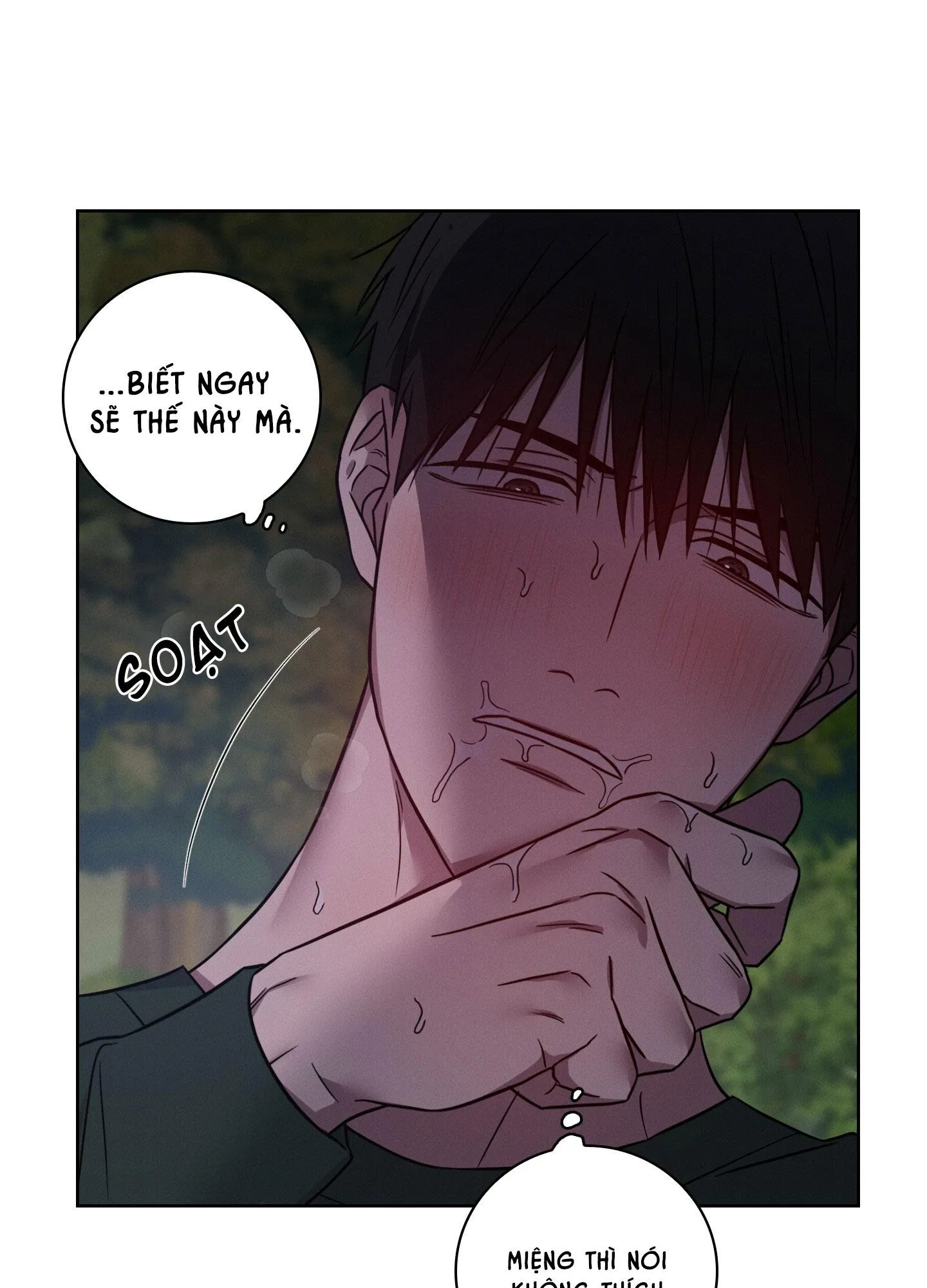 VỤ ÁN CON CU BIẾN MẤT Chapter 12 Trang 42