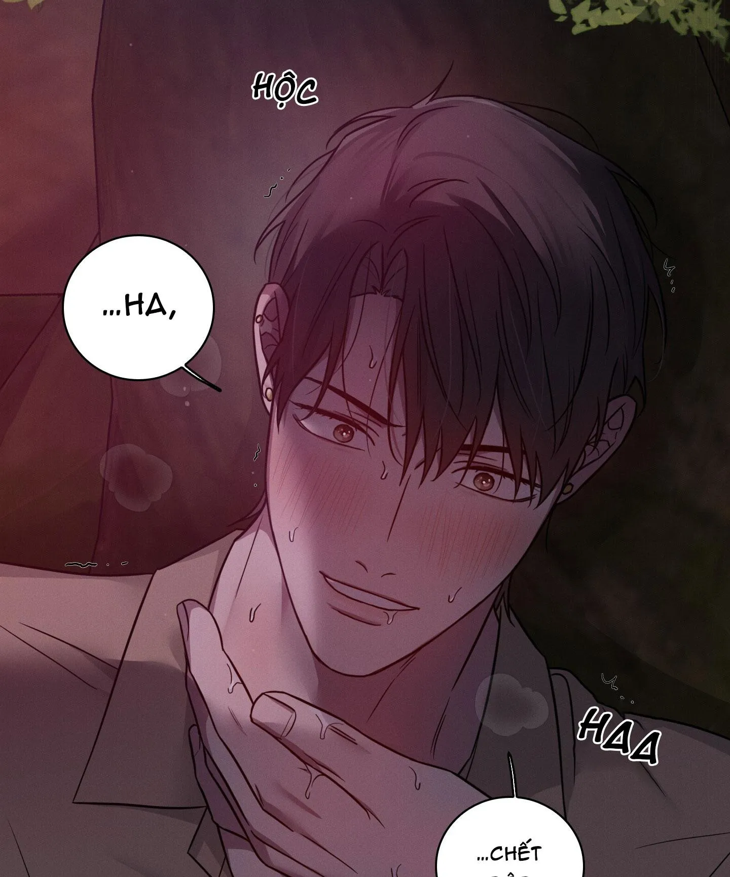 VỤ ÁN CON CU BIẾN MẤT Chapter 12 Trang 70