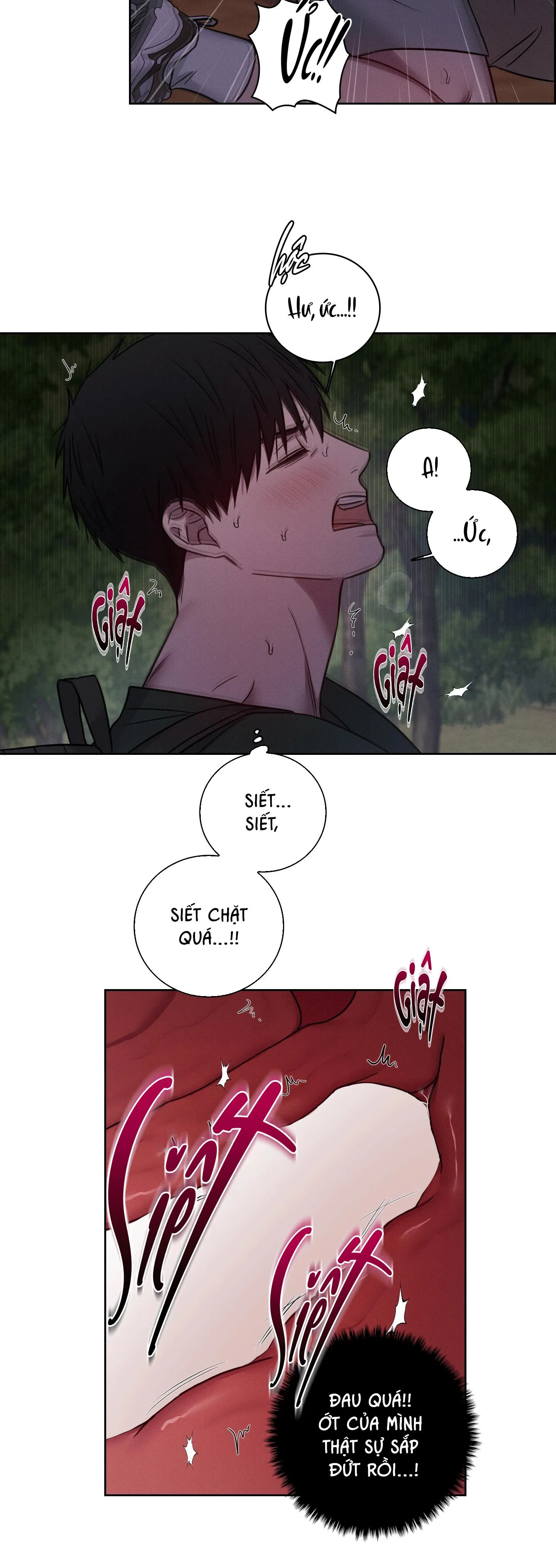 VỤ ÁN CON CU BIẾN MẤT Chapter 13 Trang 3