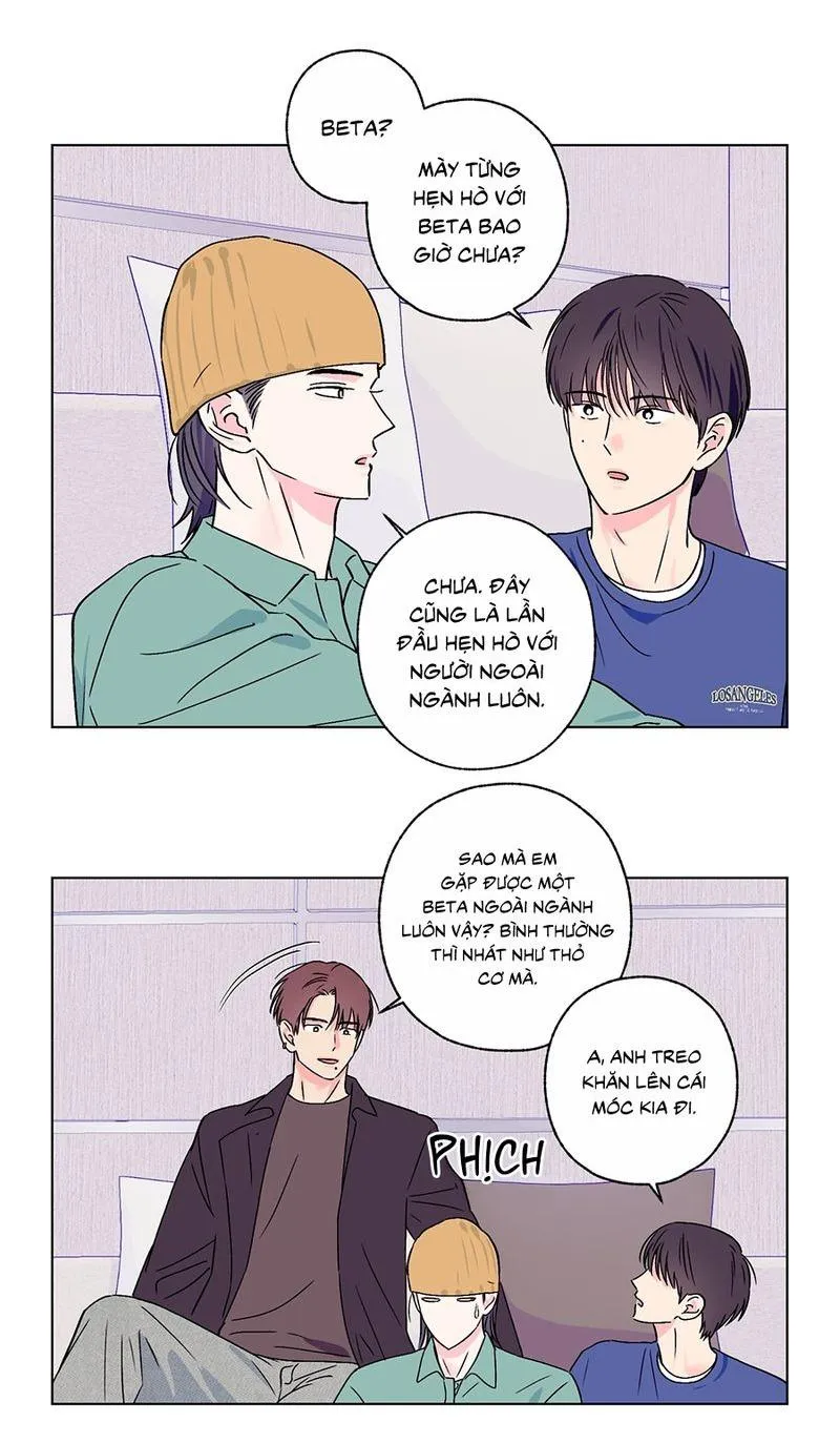 Vụ bê bối của Beta Chapter 44 Trang 15
