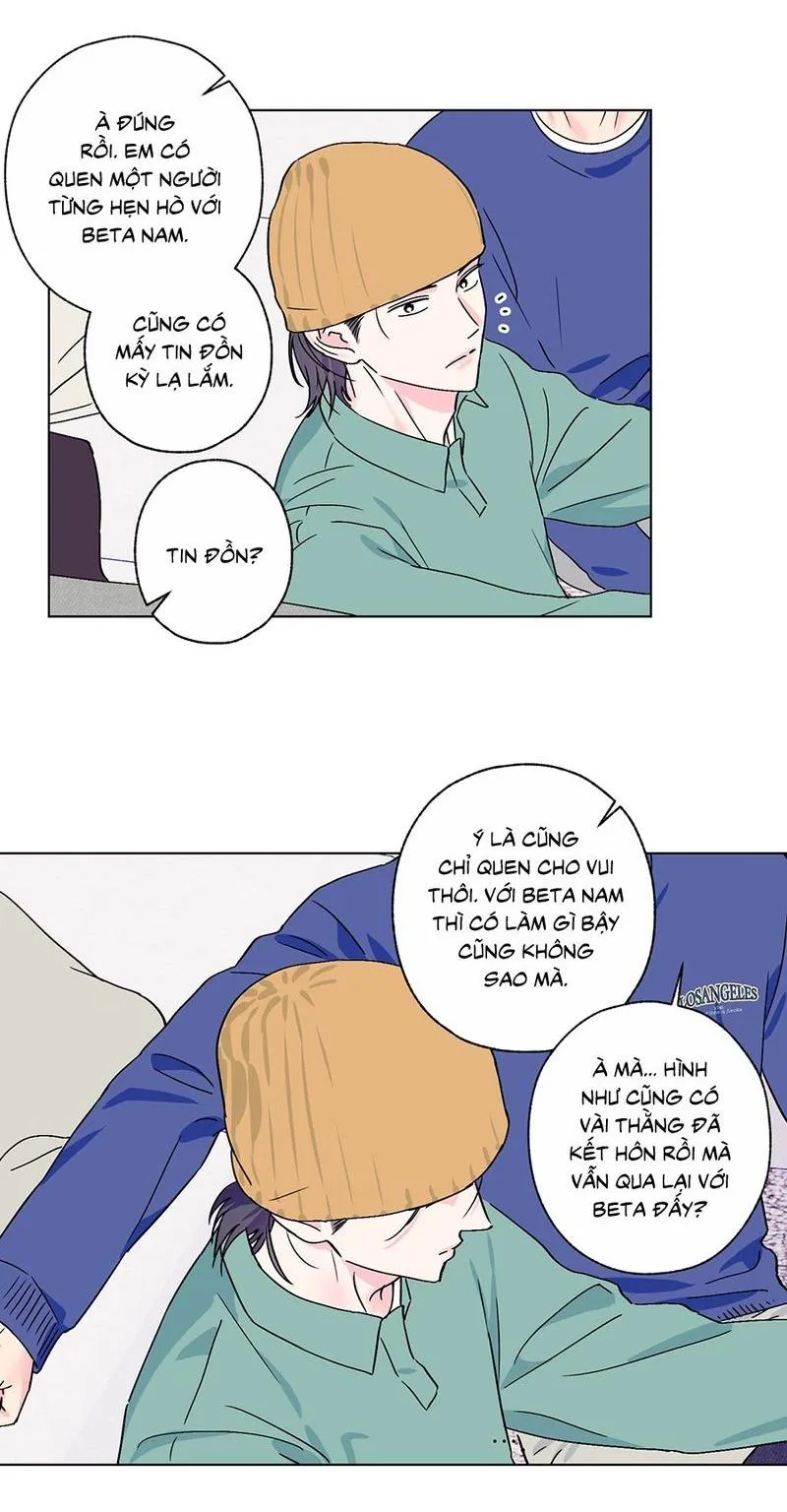 Vụ bê bối của Beta Chapter 44 Trang 16