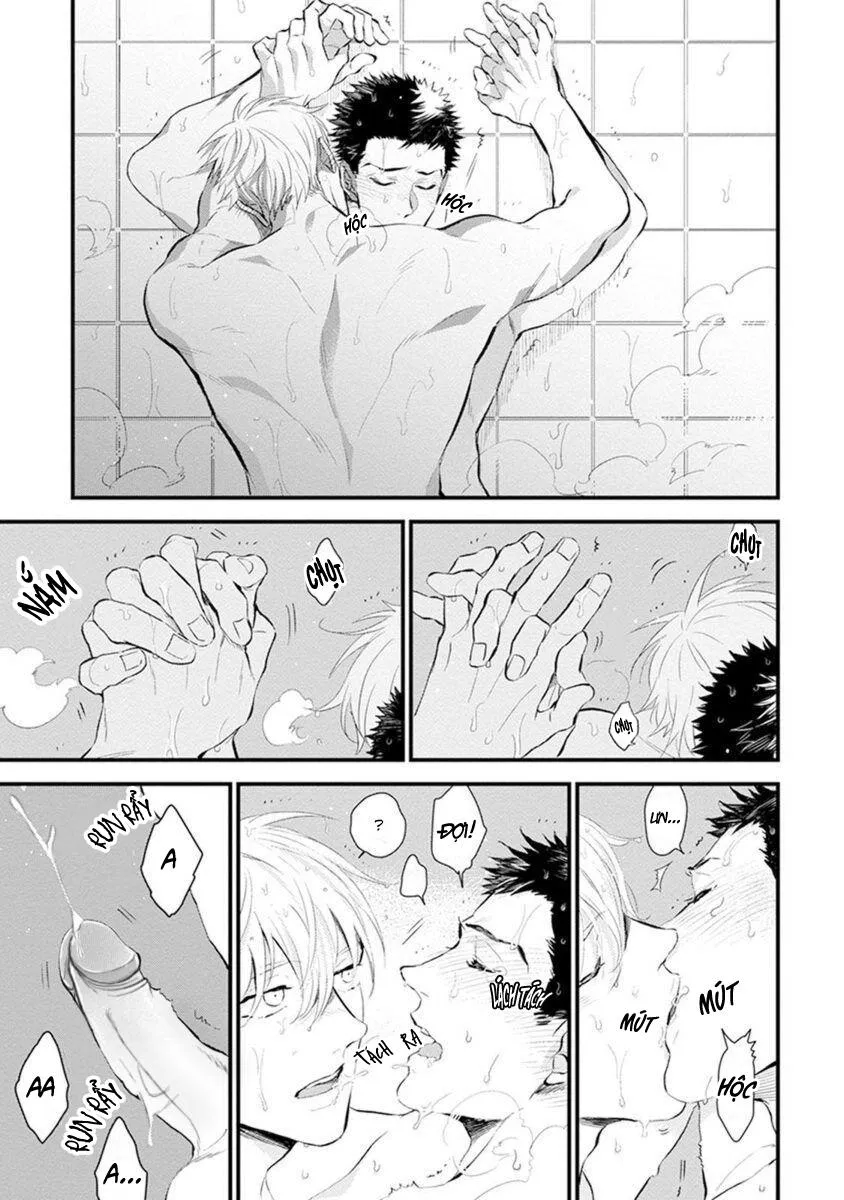 VŨ ĐIỆU NGẤT NGÂY Chapter 5 Trang 6