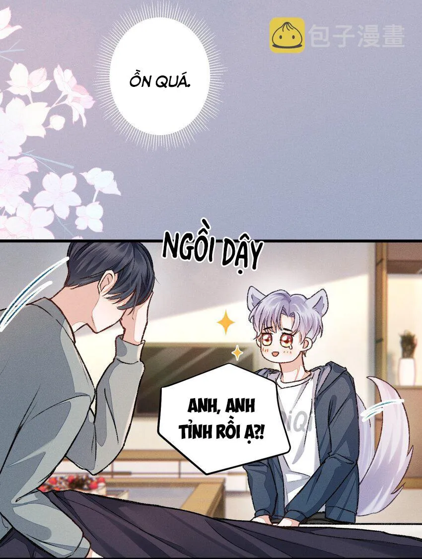 Vua hình tượng Chapter 5 Trang 18