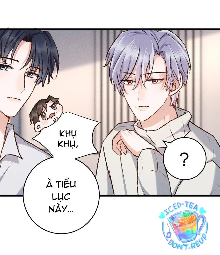 Vua hình tượng Chapter 21 Trang 13