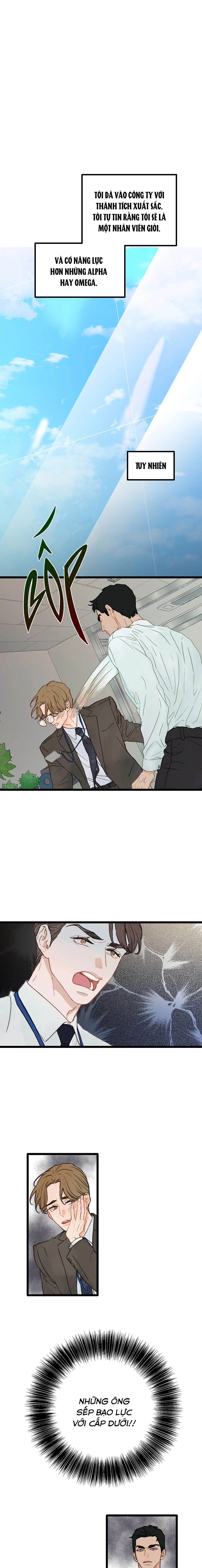 Vùng Cấm Tình Yêu Chapter 1 Trang 5