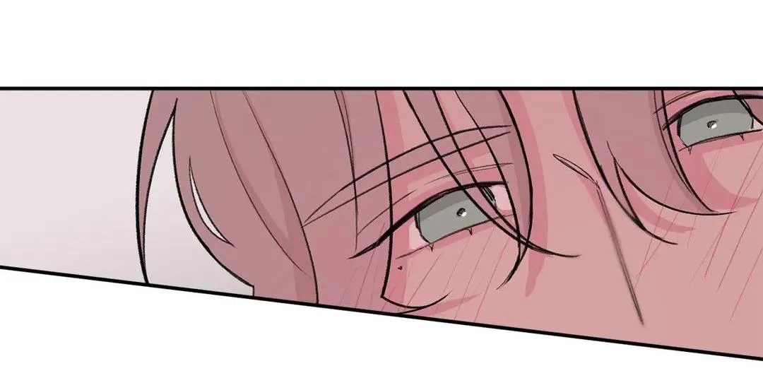 Vùng Đỏ Chapter 72 Trang 4