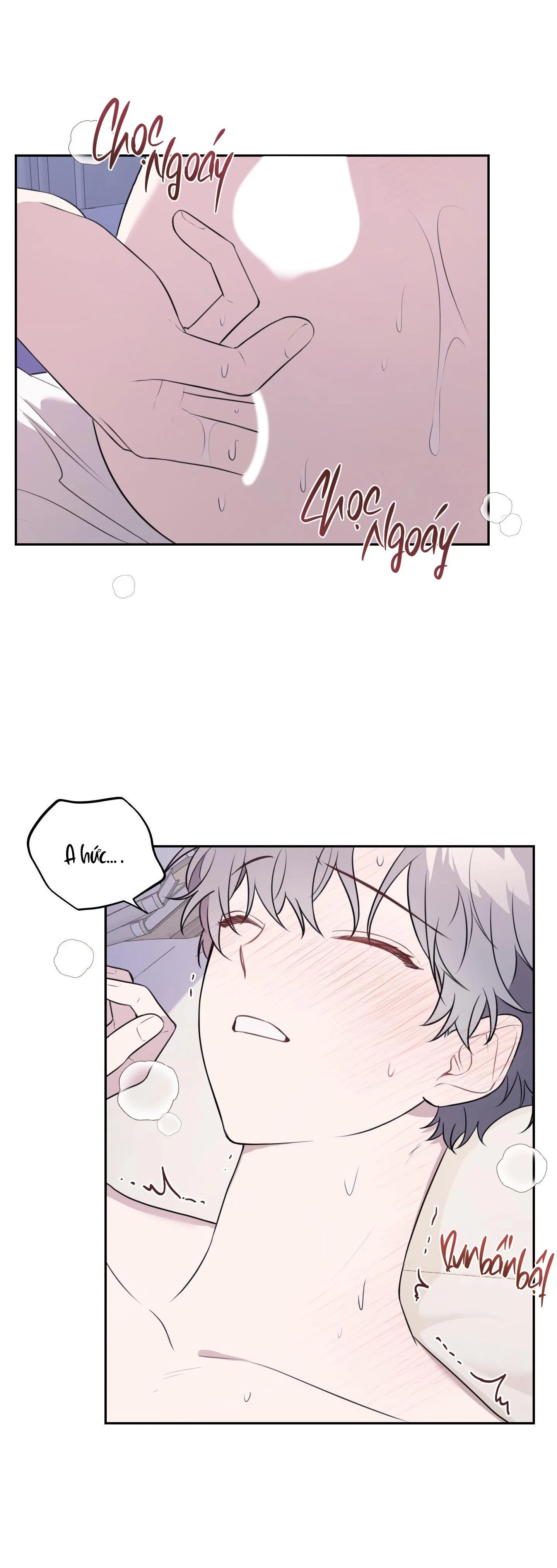 VƯỜN HOA Chapter 15 Trang 3