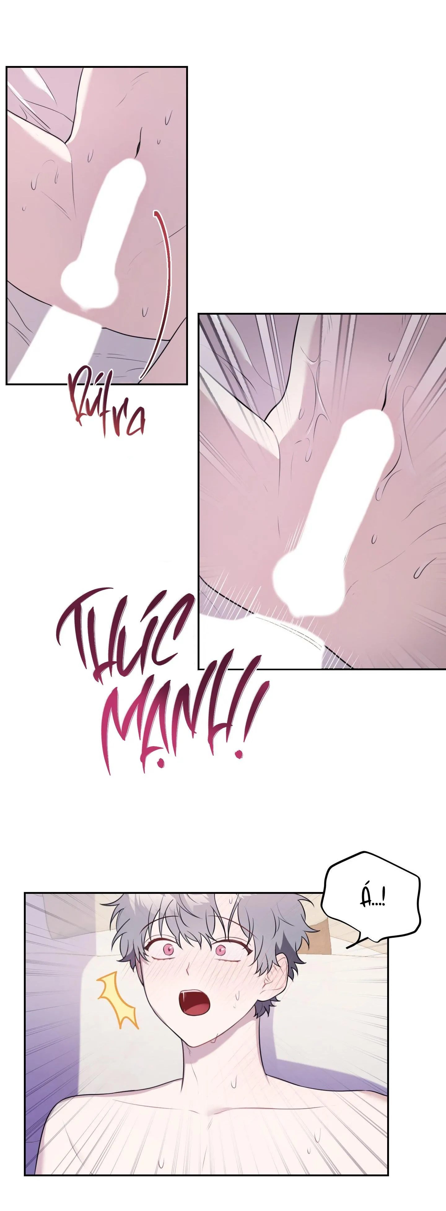 VƯỜN HOA Chapter 15 Trang 17