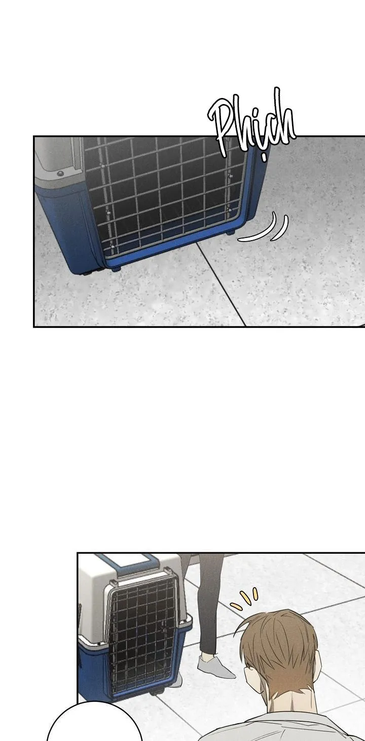 Wander off (Lang Thang) Chapter 3 Trang 10