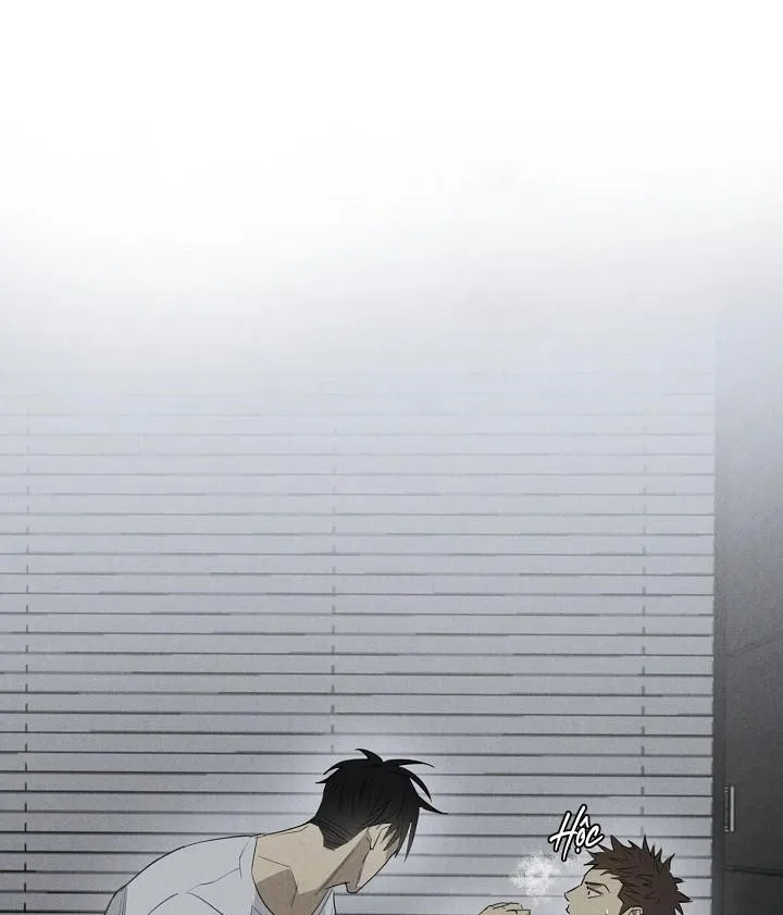 Wander off (Lang Thang) Chapter 5 Trang 14