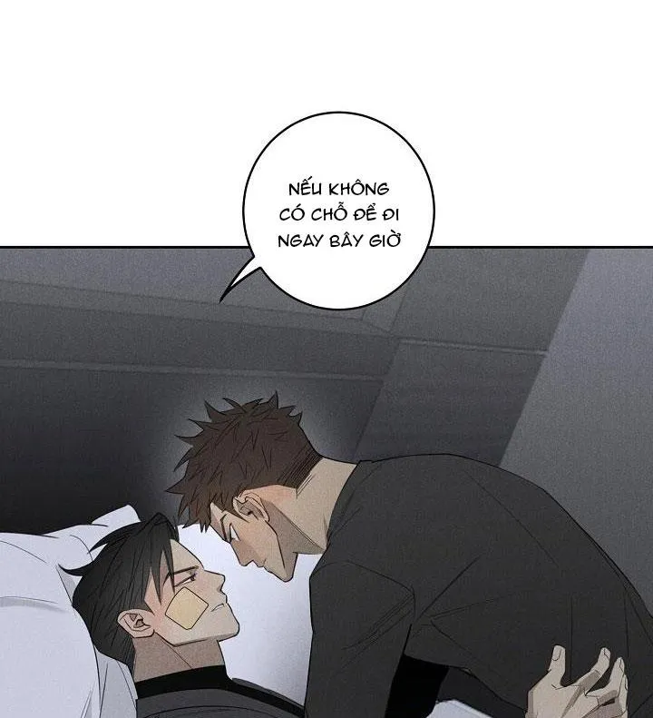 Wander off (Lang Thang) Chapter 5 Trang 56