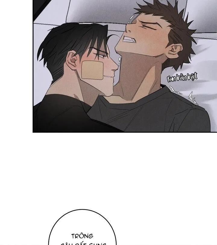 Wander off (Lang Thang) Chapter 5 Trang 77
