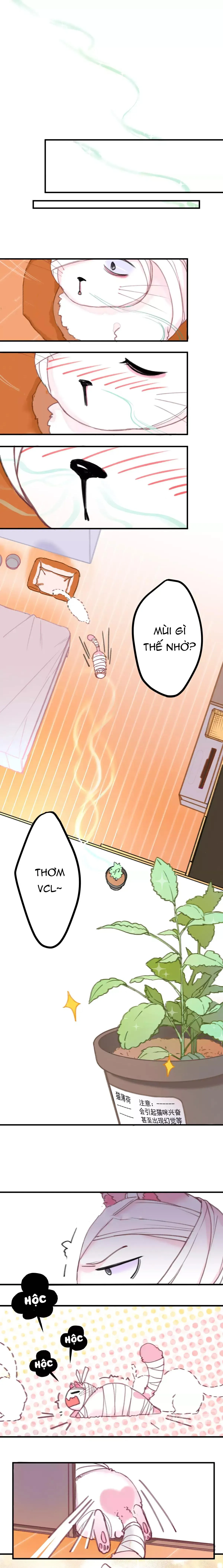 Xã Hội Mồn Lèo Chapter 3 Trang 5