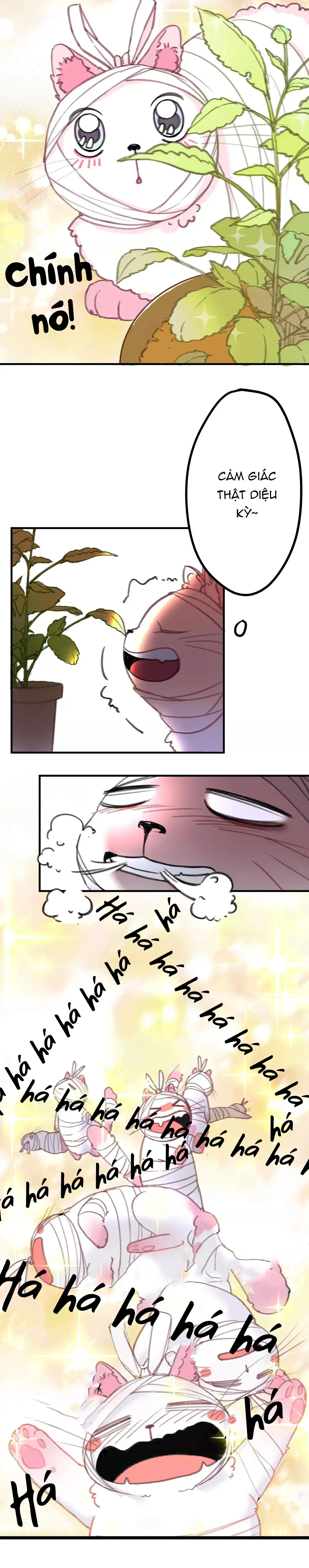 Xã Hội Mồn Lèo Chapter 3 Trang 6