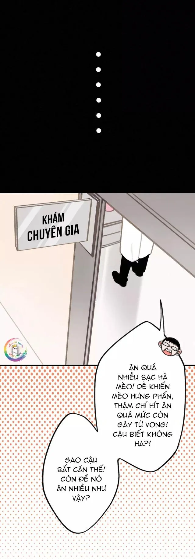 Xã Hội Mồn Lèo Chapter 4 Trang 6