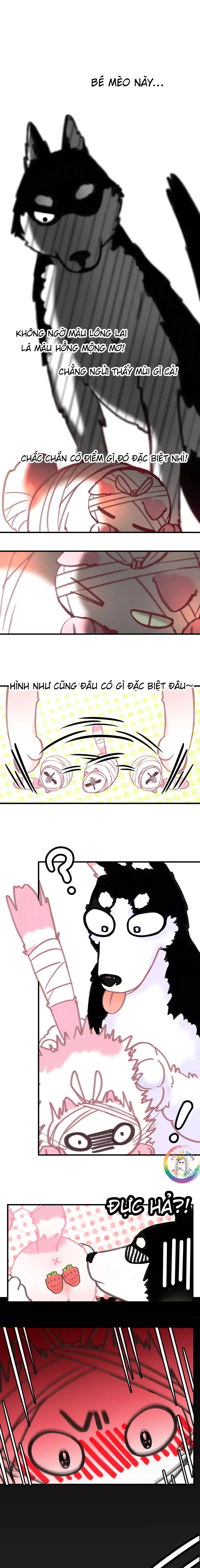 Xã Hội Mồn Lèo Chapter 5 Trang 6