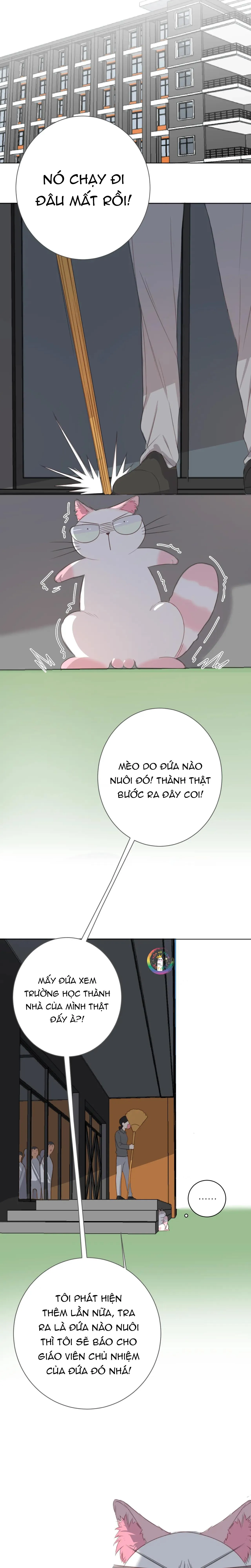 Xã Hội Mồn Lèo Chapter 13 Trang 4