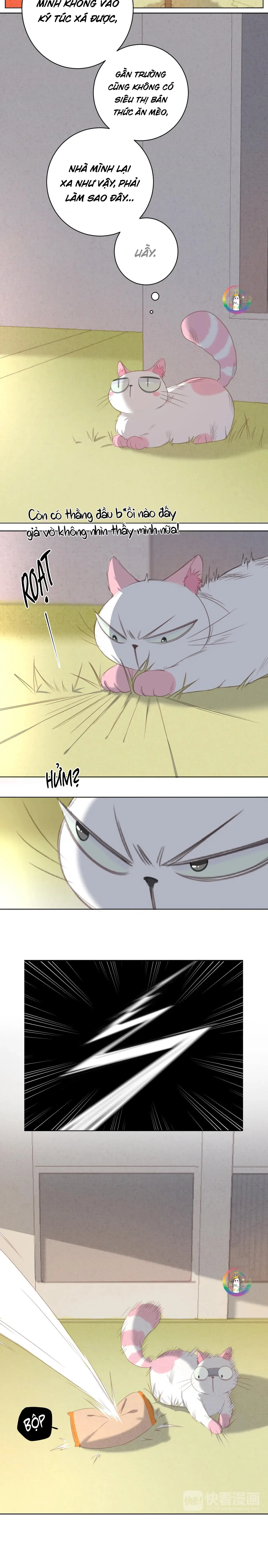 Xã Hội Mồn Lèo Chapter 13 Trang 8