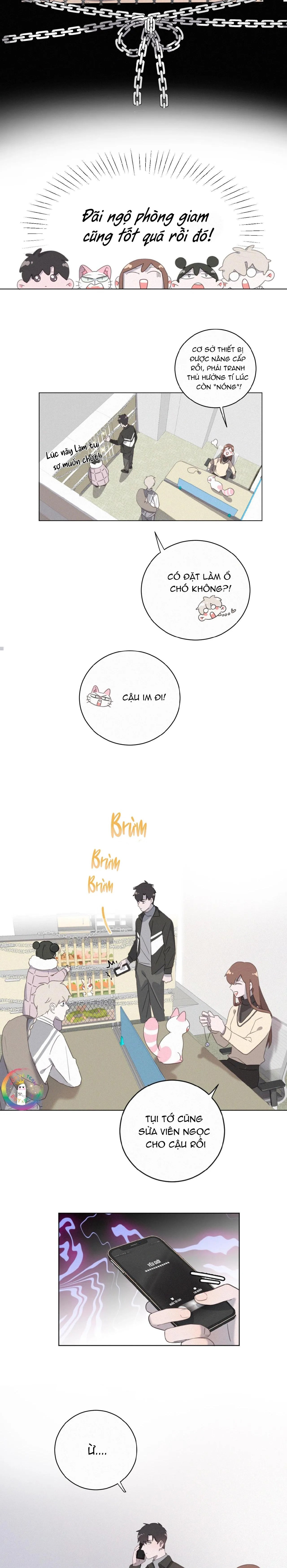 Xã Hội Mồn Lèo Chapter 56 Trang 10