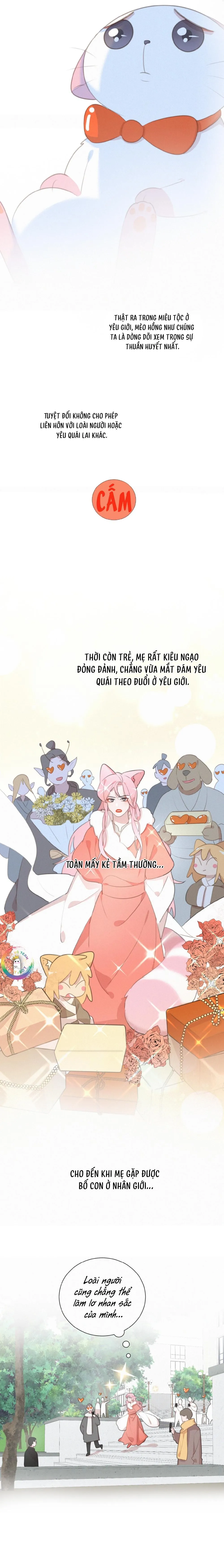 Xã Hội Mồn Lèo Chapter 77 Trang 4