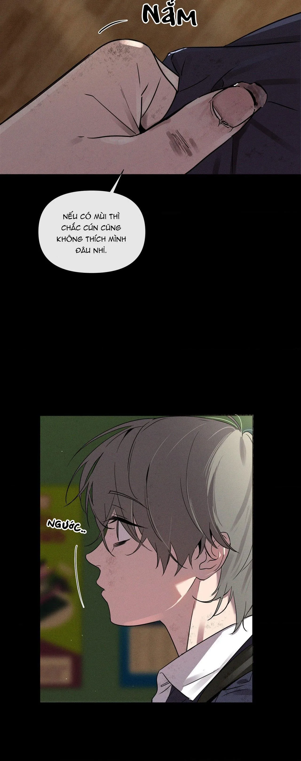 XIỀNG XÍCH HOÀN MỸ Chapter 2 Trang 5