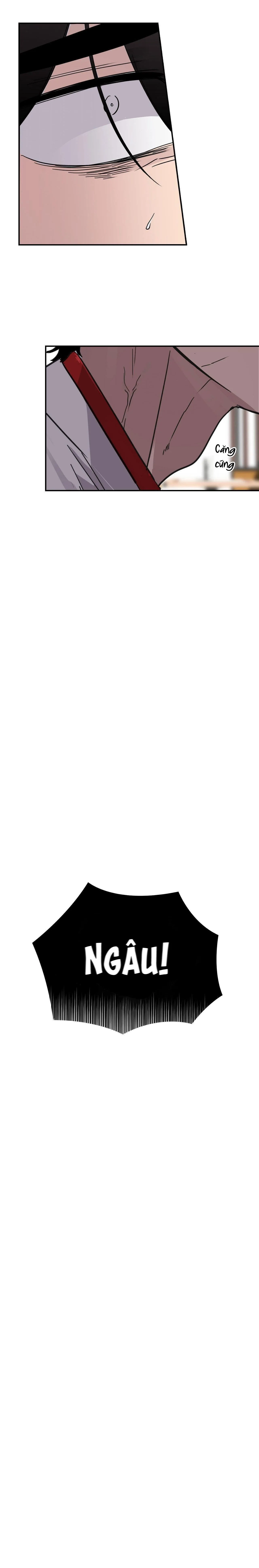 XIỀNG XÍCH HOÀN MỸ Chapter 2 Trang 17