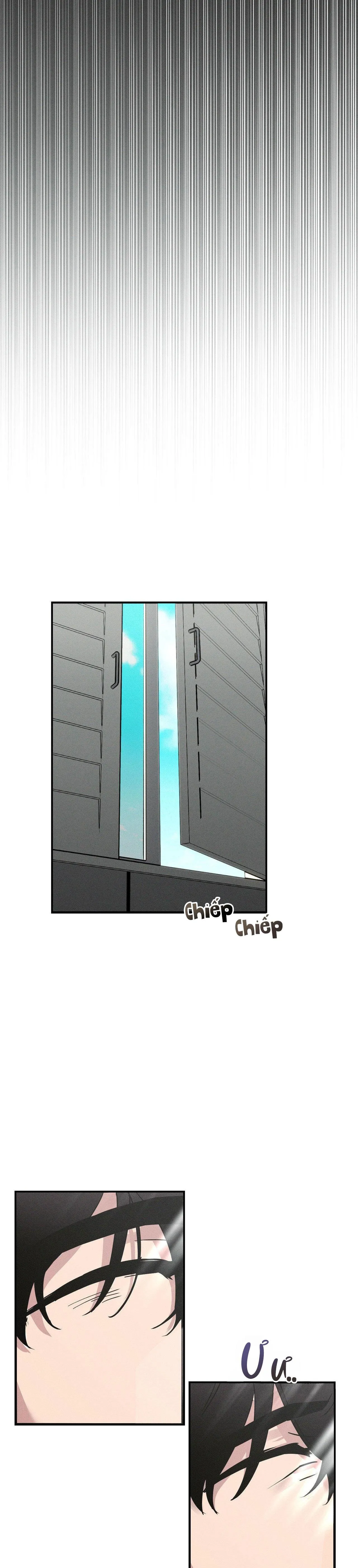 XIỀNG XÍCH HOÀN MỸ Chapter 2 Trang 21