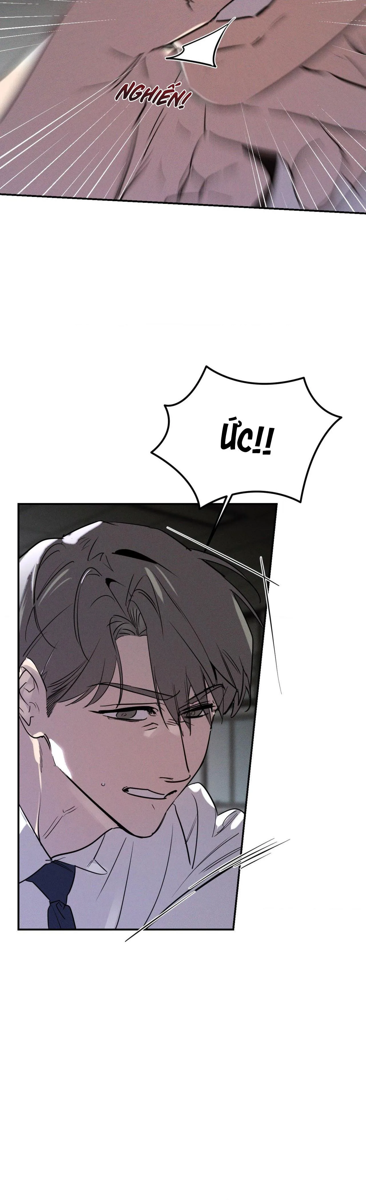 XIỀNG XÍCH HOÀN MỸ Chapter 5 Trang 5